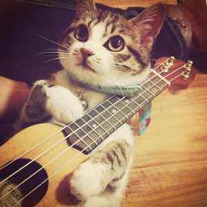 一本道 中文字幕 日韩有码 在线
