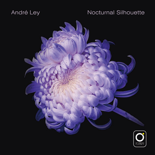 一本道 中文字幕 日韩有码 在线
